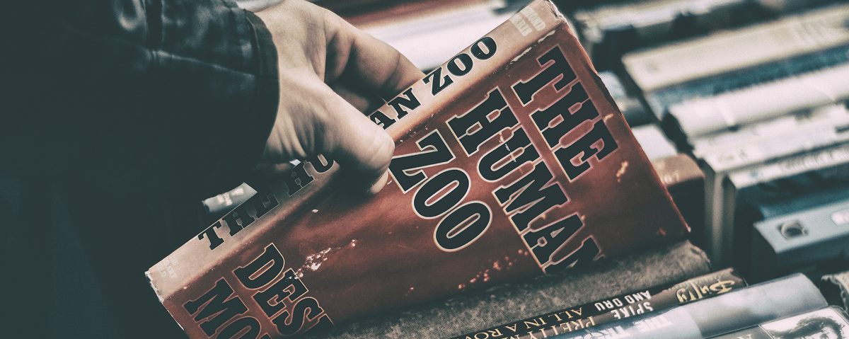 Welcome to Your “Premium” Website!